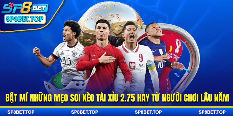 Bật mí những mẹo soi kèo tài xỉu 2.75 hay từ người chơi lâu năm