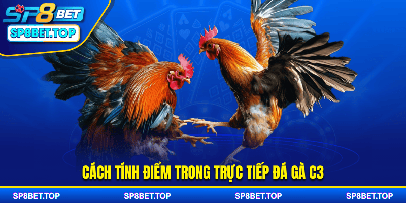 Cách tính điểm trong trực tiếp đá gà C3