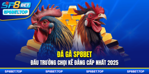Đá Gà SP8BET - Đấu Trường Chọi Kê Đẳng Cấp Nhất 2025