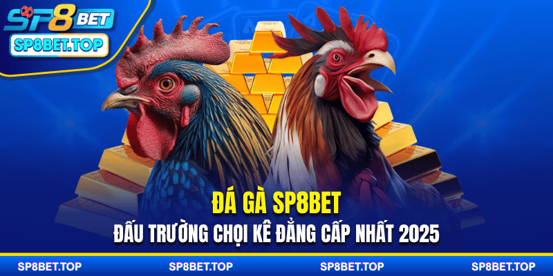 Đá Gà SP8BET - Đấu Trường Chọi Kê Đẳng Cấp Nhất 2025