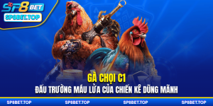 Gà Chọi C1 - Đấu Trường Máu Lửa Của Chiến Kê Dũng Mãnh