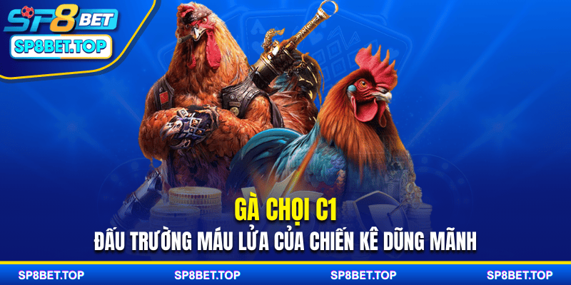 Gà Chọi C1 - Đấu Trường Máu Lửa Của Chiến Kê Dũng Mãnh
