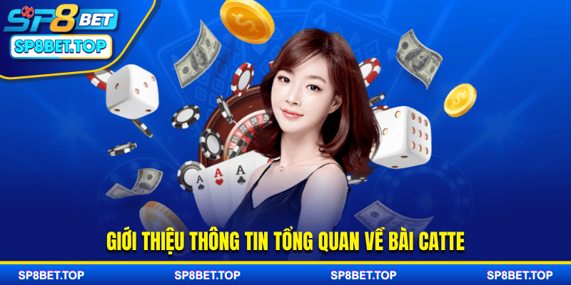 Giới thiệu thông tin tổng quan về bài Catte