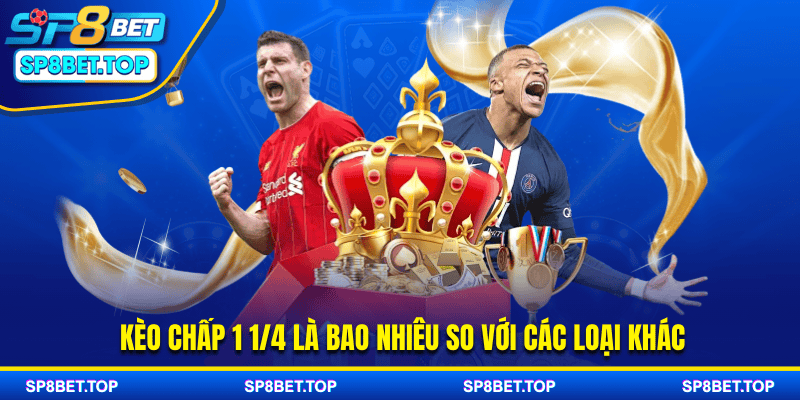 Kèo chấp 1 1/4 là bao nhiêu so với các loại khác