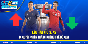 Kèo Tài Xỉu 2.75 - Bí Quyết Chiến Thắng Không Thể Bỏ Qua