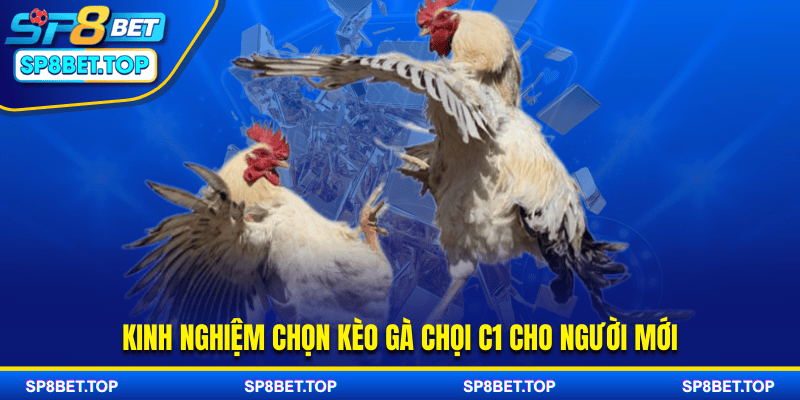Kinh nghiệm chọn kèo gà chọi C1 cho người mới