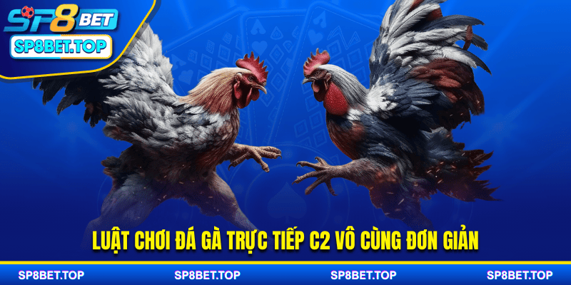 Luật chơi đá gà trực tiếp C2 vô cùng đơn giản