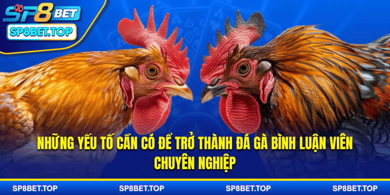 Những yếu tố cần có để trở thành đá gà bình luận viên chuyên nghiệp