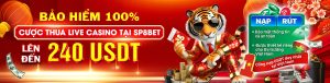 sp8bet-khuyen-mai-casino-1
