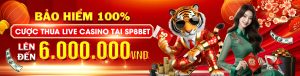 sp8bet-khuyen-mai-casino-2