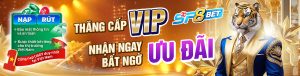 sp8bet-khuyen-mai-vip-3