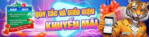 sp8bet-khuyen-mai-vip-5