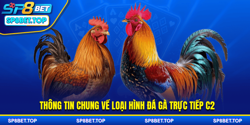 Thông tin chung về loại hình đá gà trực tiếp C2