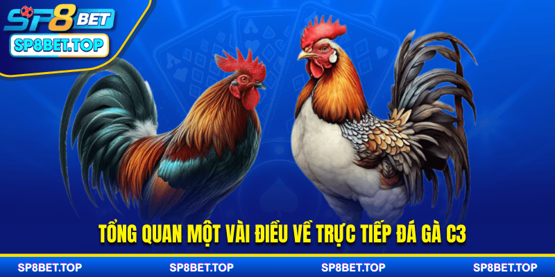 Tổng quan một vài điều về trực tiếp đá gà C3