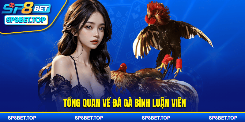 Tổng quan về đá gà bình luận viên