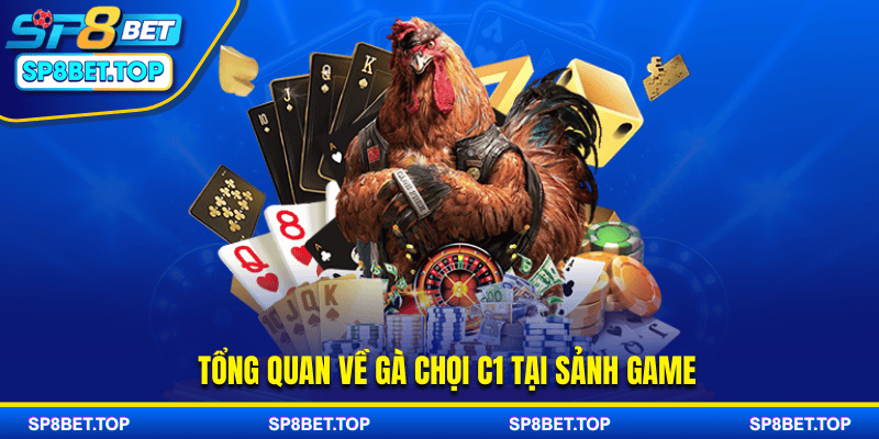 Tổng quan về gà chọi C1 tại sảnh game