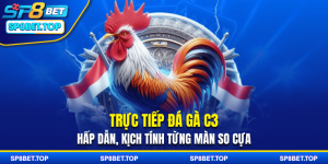 Trực Tiếp Đá Gà C3 - Hấp Dẫn, Kịch Tính Từng Màn So Cựa