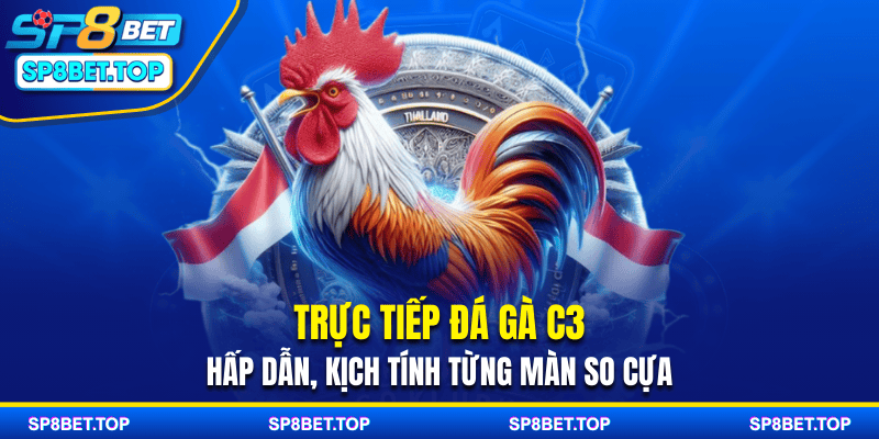 Trực Tiếp Đá Gà C3 - Hấp Dẫn, Kịch Tính Từng Màn So Cựa